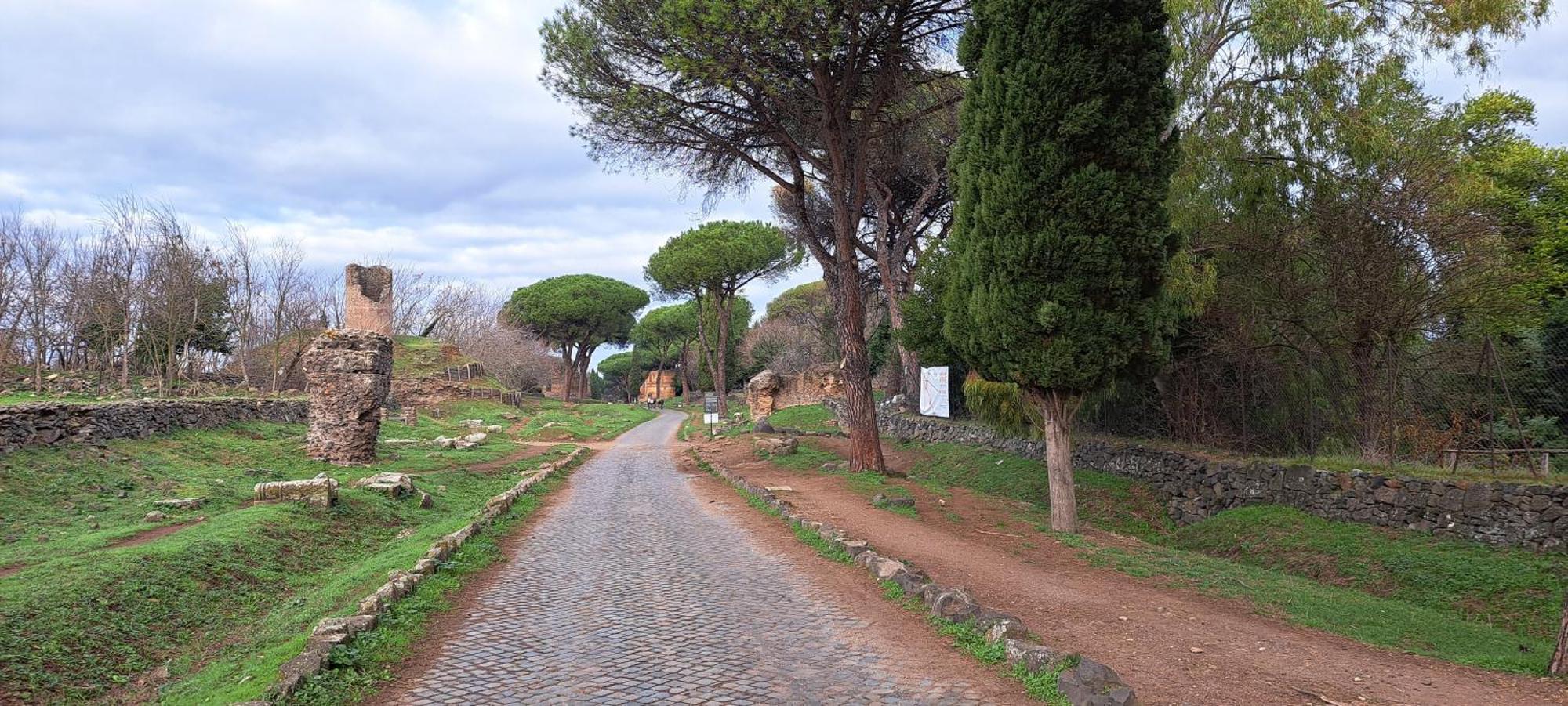 Apartamento Pictadomus-viridis